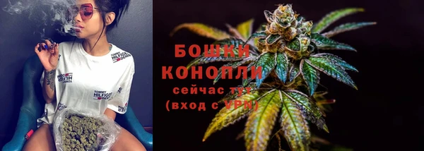 кокс Белокуриха