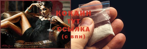кокс Белокуриха