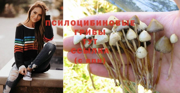 спиды Белоозёрский